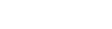 Bridge AI Solutions
